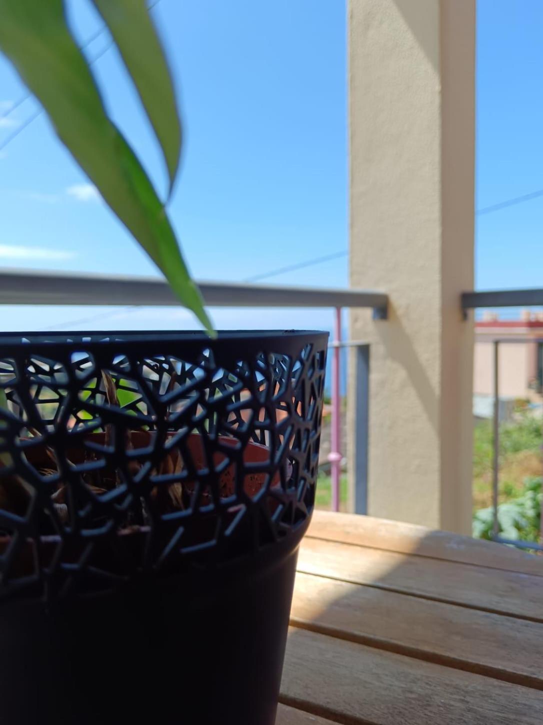 Casa Central - Peceful Mountain Retreat In Calheta Ribeira do Raposo Zewnętrze zdjęcie
